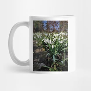 snowdrop Mug